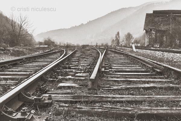 Foto: Cristi Niculescu