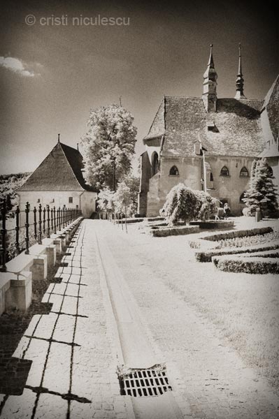 Foto: Cristi Niculescu