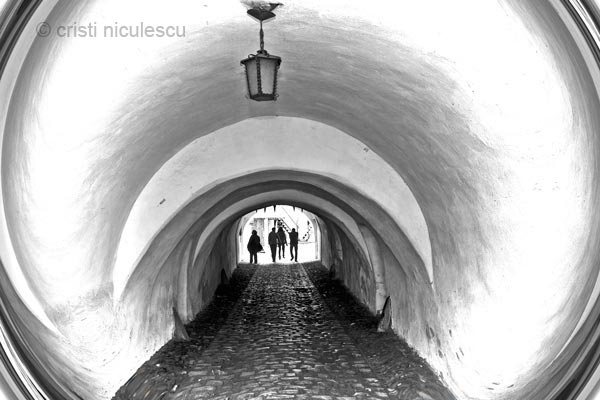 Foto: Cristi Niculescu