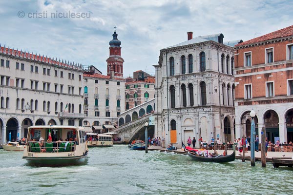 Foto: Cristi Niculescu