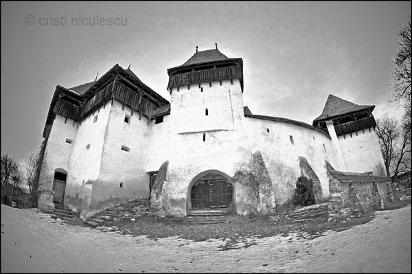 Foto: Cristi Niculescu