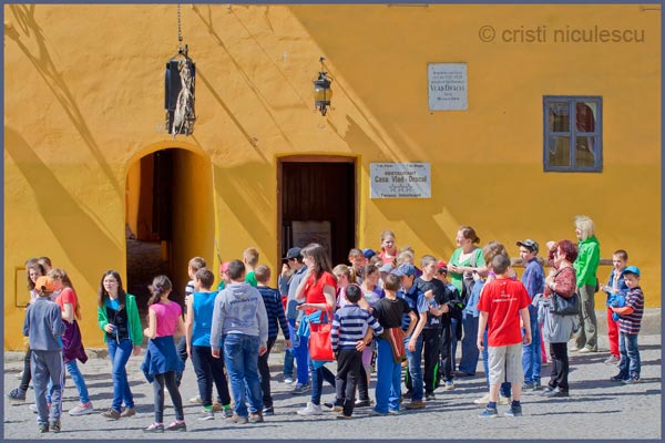 Foto: Cristi Niculescu