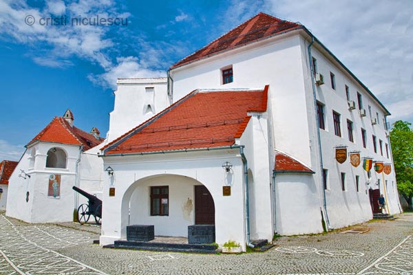 Foto: Cristi Niculescu