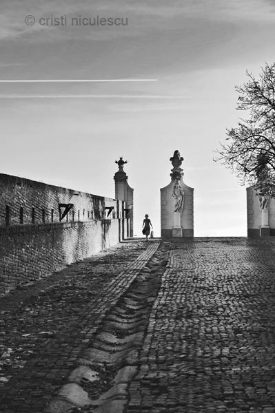 Foto: Cristi Niculescu