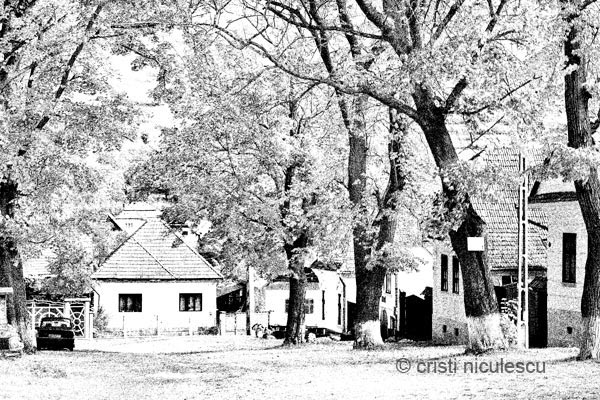 Foto: Cristi Niculescu