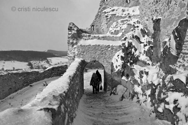 Foto: Cristi Niculescu