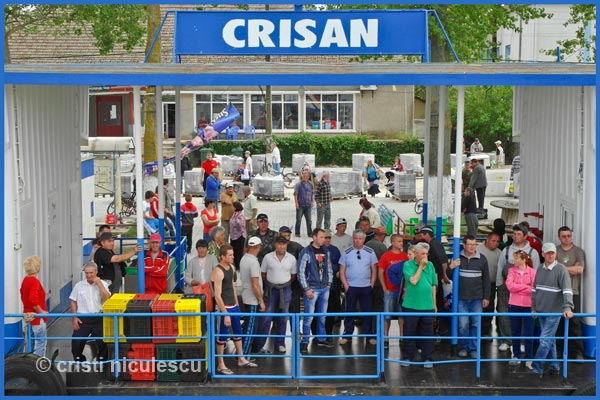 Foto: Cristi Niculescu