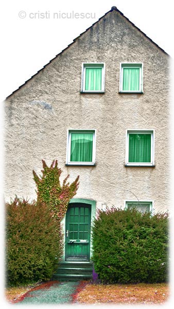 Foto: Cristi Niculescu