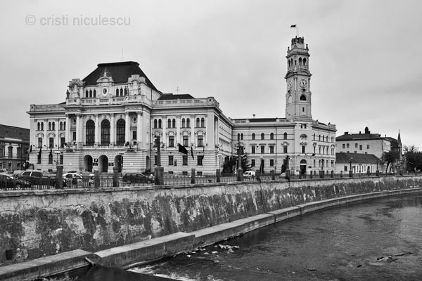 Foto: Cristi Niculescu