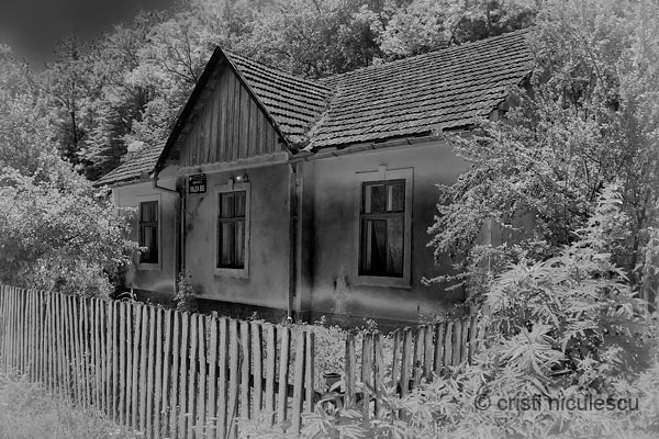 Foto: Cristi Niculescu