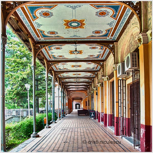 Foto: Cristi Niculescu