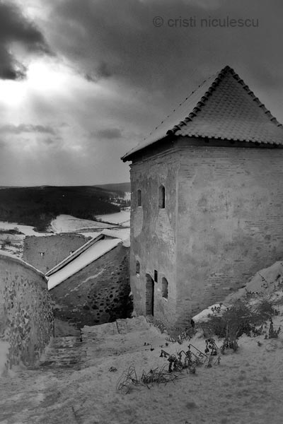 Foto: Cristi Niculescu