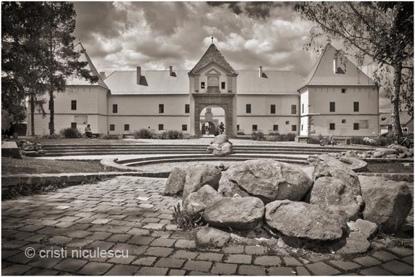 Foto: Cristi Niculescu