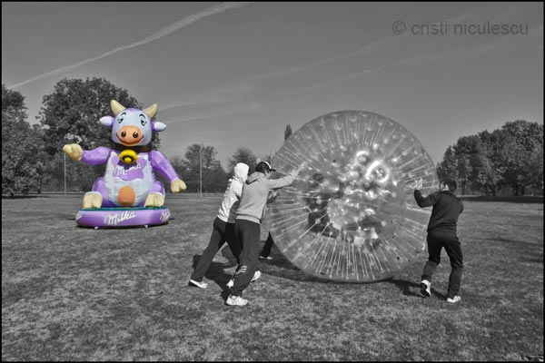 Foto: Cristi Niculescu