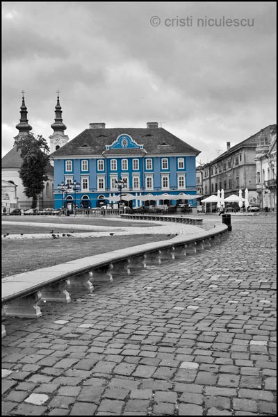 Foto: Cristi Niculescu