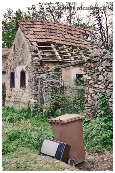 Foto: Cristi Niculescu