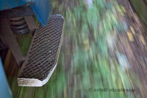 Foto: Cristi Niculescu