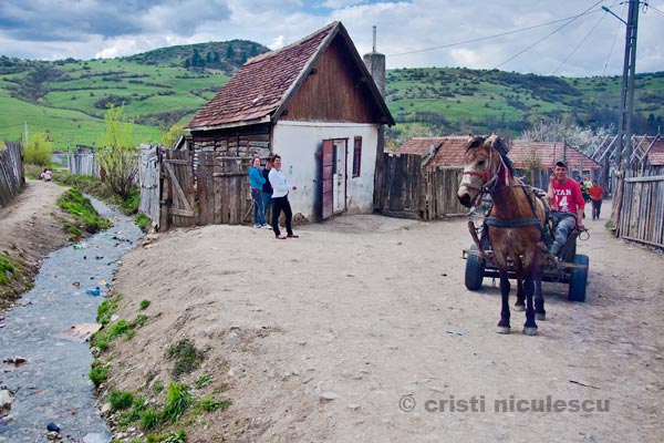 Foto: Cristi Niculescu
