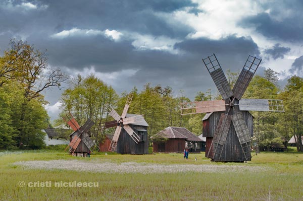 Foto: Cristi Niculescu