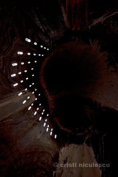 Foto: Cristi Niculescu