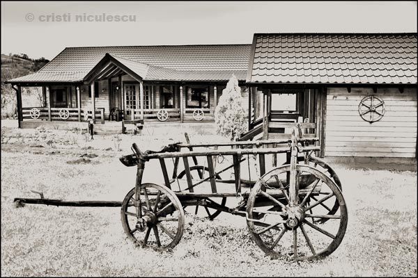 Foto: Cristi Niculescu