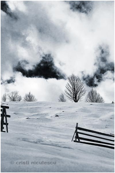 Foto: Cristi Niculescu