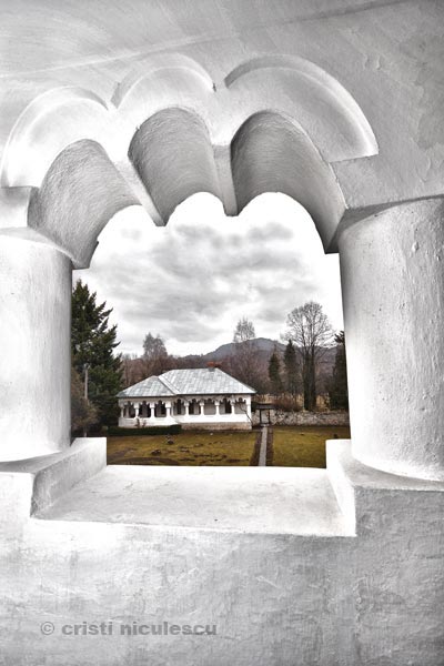 Foto: Cristi Niculescu