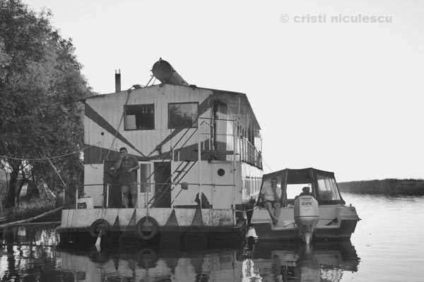 Foto: Cristi Niculescu