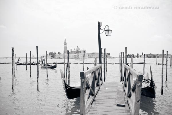 Foto: Cristi Niculescu