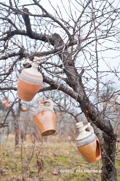 Foto: Cristi Niculescu