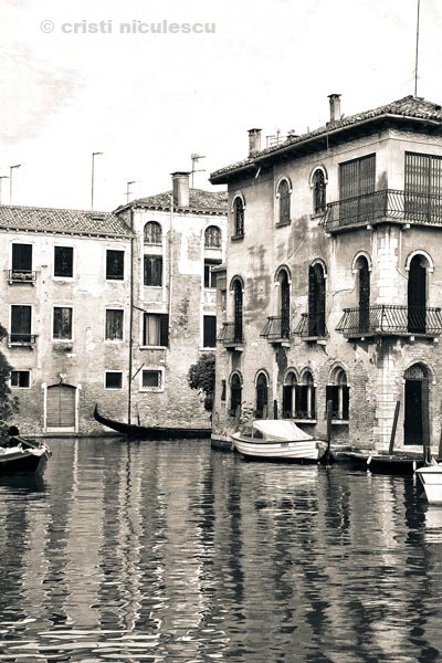 Foto: Cristi Niculescu