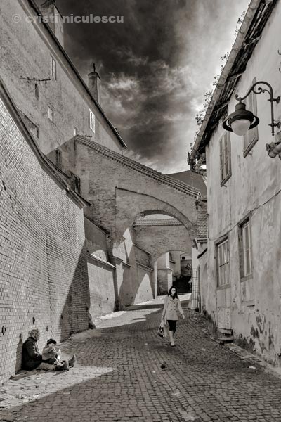 Foto: Cristi Niculescu