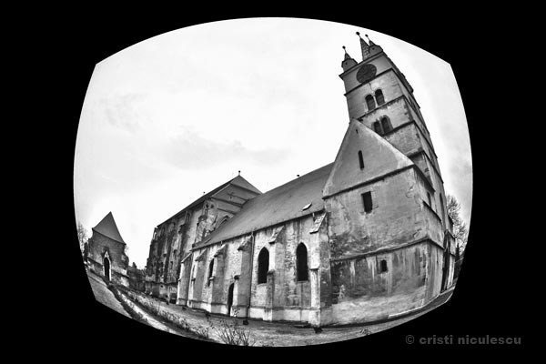 Foto: Cristi Niculescu