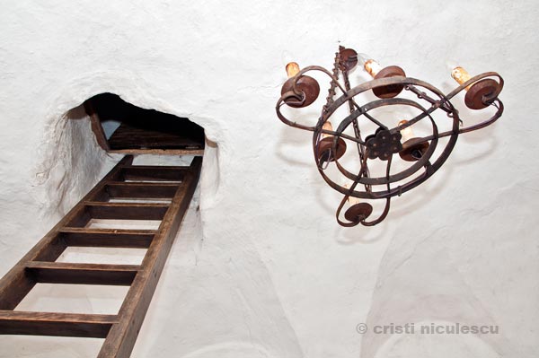 Foto: Cristi Niculescu