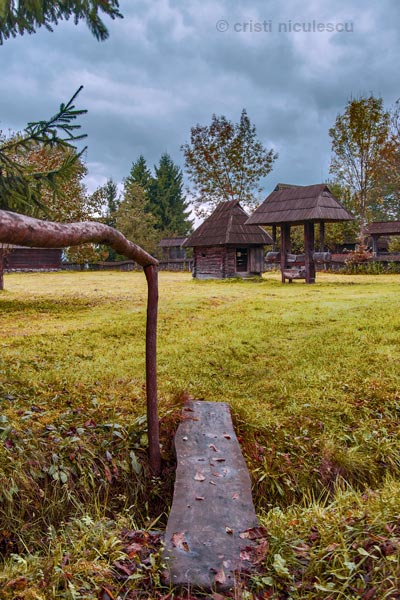 Foto: Cristi Niculescu