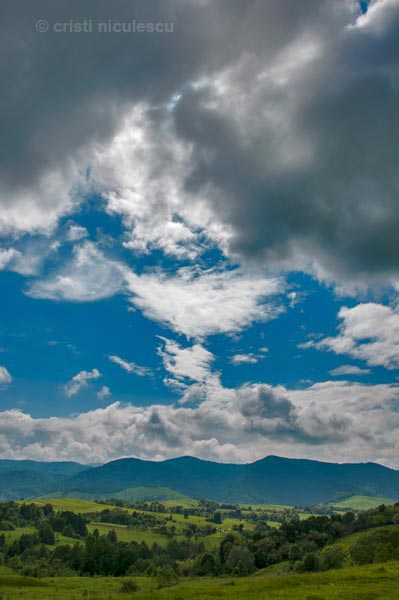 Foto: Cristi Niculescu