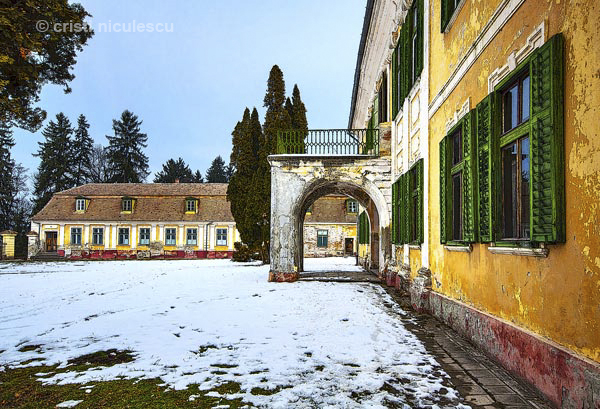 Foto: Cristi Niculescu