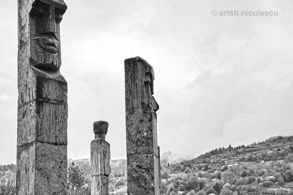 Foto: Cristi Niculescu