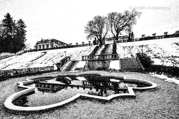 Foto: Cristi Niculescu