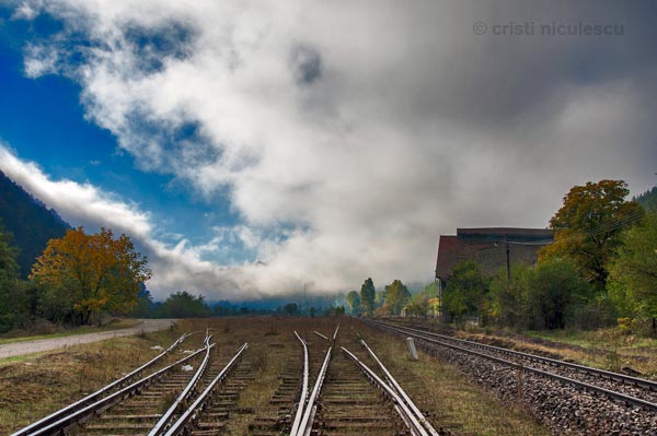 Foto: Cristi Niculescu