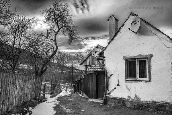 Foto: Cristi Niculescu