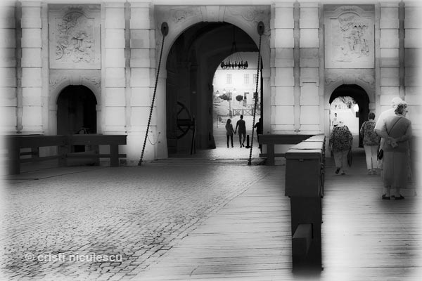 Foto: Cristi Niculescu