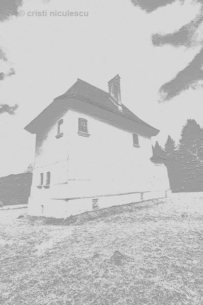 Foto: Cristi Niculescu