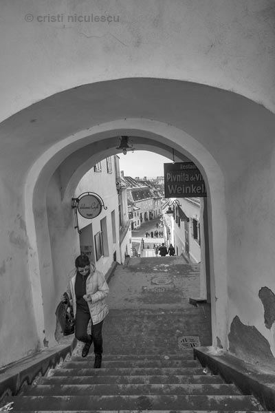 Foto: Cristi Niculescu