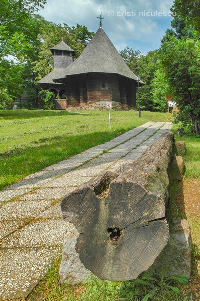 Foto: Cristi Niculescu