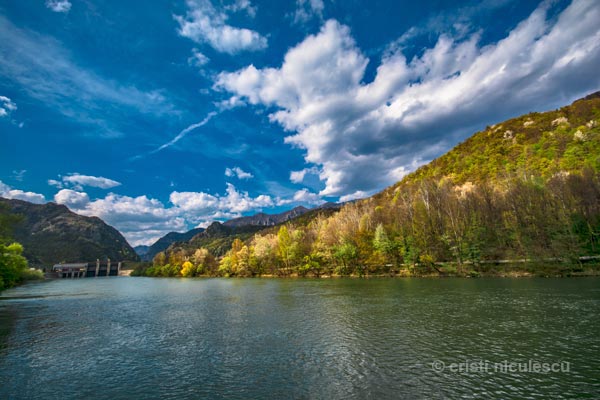 Foto: Cristi Niculescu