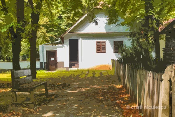 Foto: Cristi Niculescu