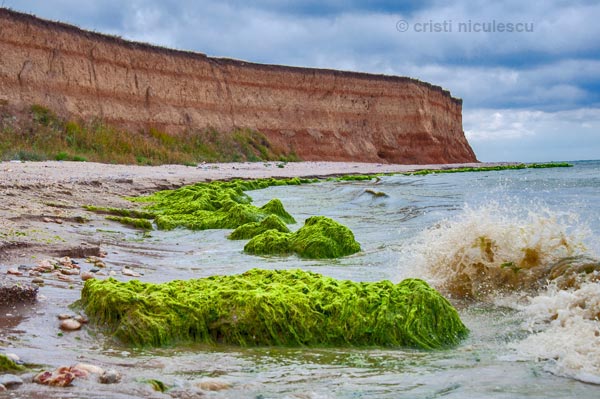 Foto: Cristi Niculescu