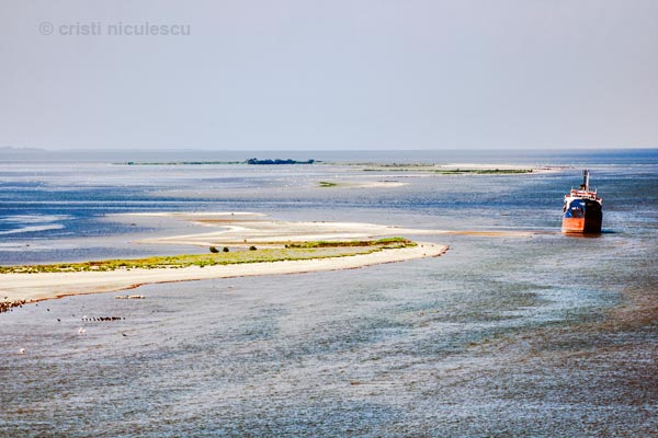 Foto: Cristi Niculescu