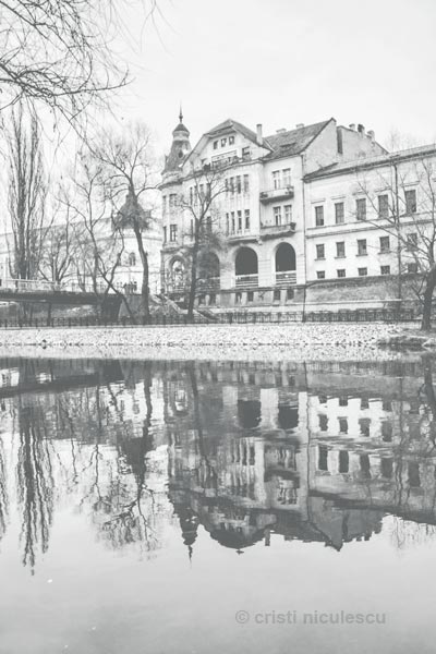 Foto: Cristi Niculescu